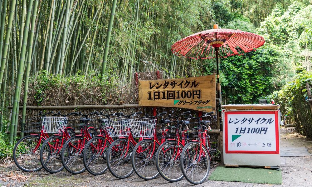 Tour Paquete Tour a Japón + Avión + Hotel. El Bosque de bambú de Arashiyama, un lugar de ensueño