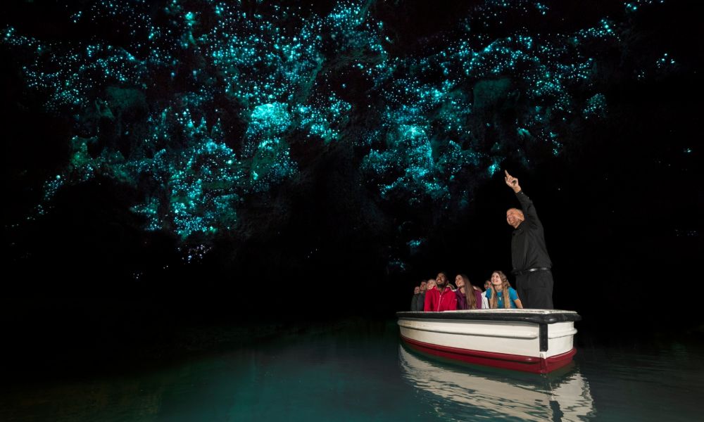 Tour Nueva Zelandia esencial. Miles de diminutos gusanos iluminan el techo de la cueva de Waitomo como si fuera un cielo estrellado